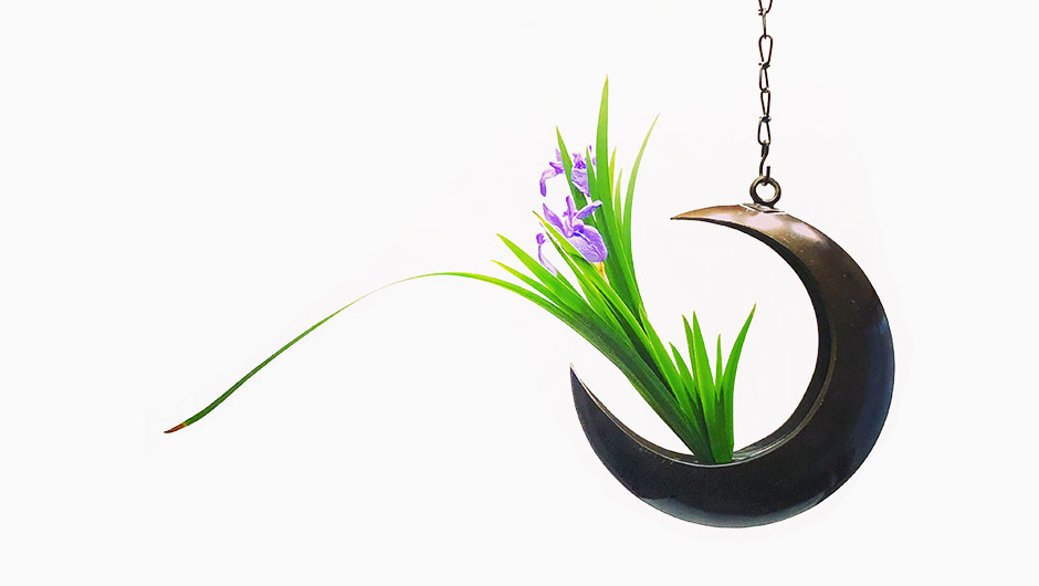 ディスプレイ注文受付